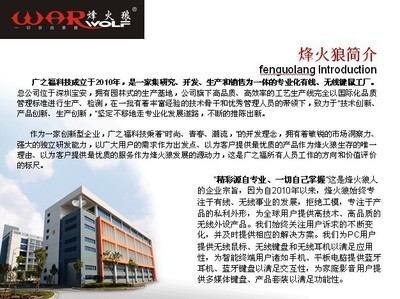 【烽火狼品牌鍵盤鼠標工廠,游戲網吧,承招國內代理商專業游戲產品】價格,廠家,圖片,鼠鍵套裝,李勇-